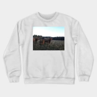 Scottish Highland Cattle Cows and Calf 1850 Crewneck Sweatshirt